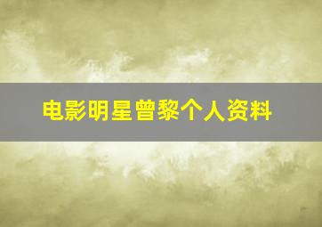 电影明星曾黎个人资料