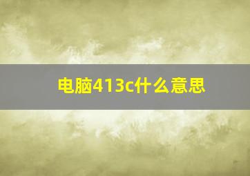 电脑413c什么意思