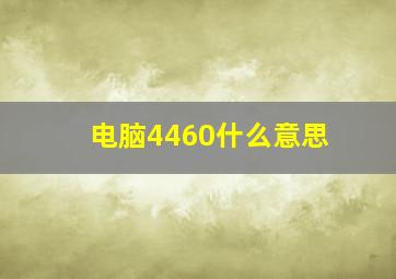 电脑4460什么意思