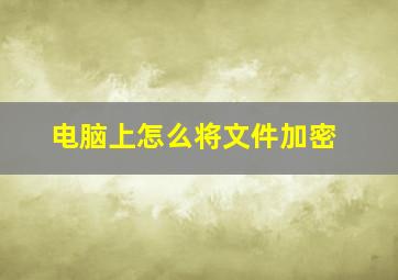 电脑上怎么将文件加密