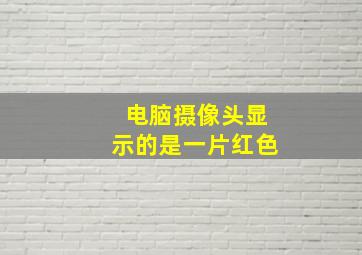 电脑摄像头显示的是一片红色