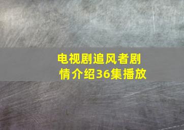 电视剧追风者剧情介绍36集播放