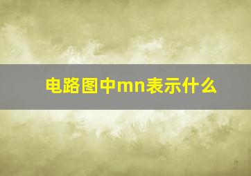 电路图中mn表示什么