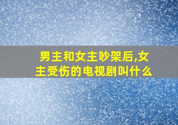 男主和女主吵架后,女主受伤的电视剧叫什么