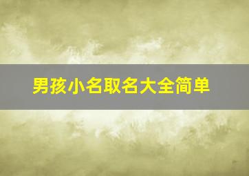 男孩小名取名大全简单