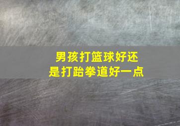 男孩打篮球好还是打跆拳道好一点