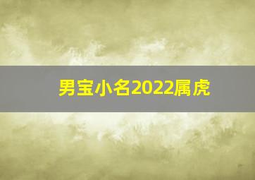 男宝小名2022属虎