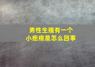 男性生殖有一个小疙瘩是怎么回事