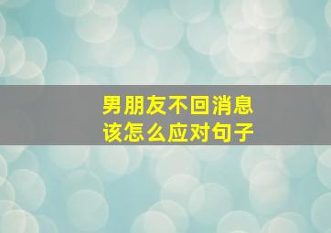 男朋友不回消息该怎么应对句子