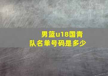 男篮u18国青队名单号码是多少