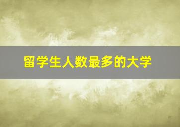 留学生人数最多的大学