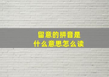 留意的拼音是什么意思怎么读