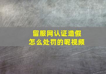 留服网认证造假怎么处罚的呢视频