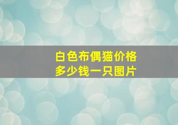 白色布偶猫价格多少钱一只图片