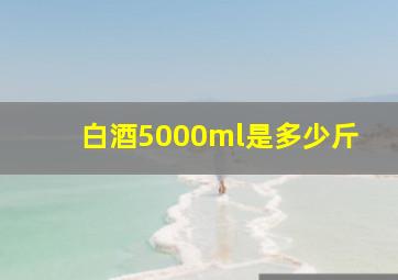 白酒5000ml是多少斤