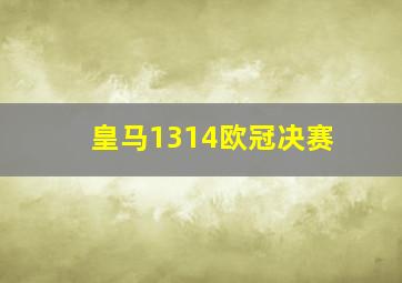 皇马1314欧冠决赛