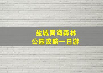 盐城黄海森林公园攻略一日游