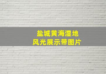 盐城黄海湿地风光展示带图片