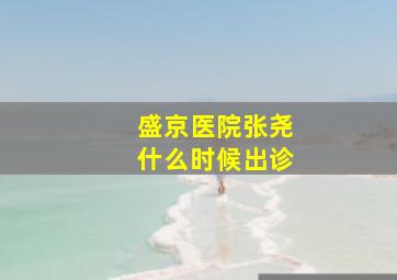 盛京医院张尧什么时候出诊