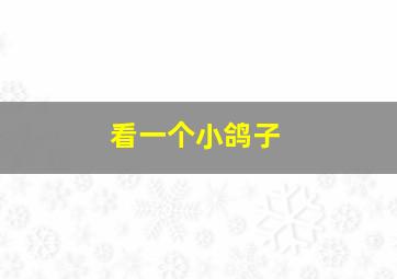 看一个小鸽子