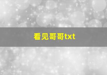 看见哥哥txt