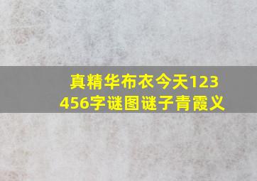 真精华布衣今天123456字谜图谜子青霞义