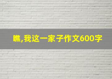 瞧,我这一家子作文600字