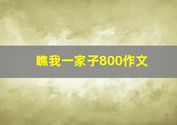 瞧我一家子800作文