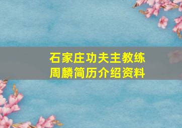 石家庄功夫主教练周麟简历介绍资料