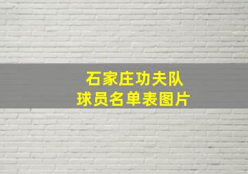 石家庄功夫队球员名单表图片