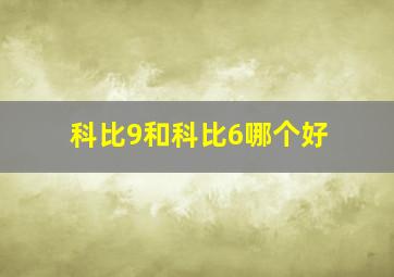 科比9和科比6哪个好