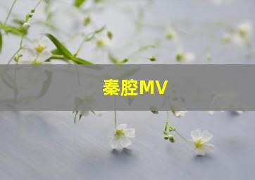 秦腔MV