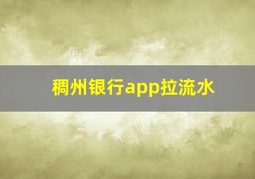 稠州银行app拉流水