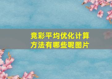 竞彩平均优化计算方法有哪些呢图片