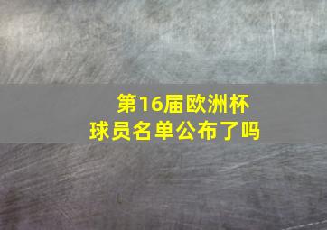 第16届欧洲杯球员名单公布了吗