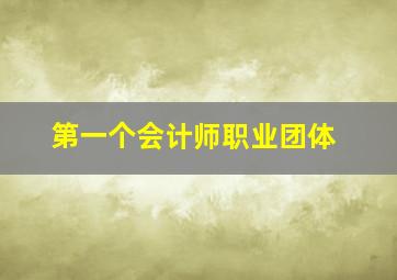 第一个会计师职业团体