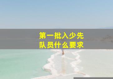 第一批入少先队员什么要求