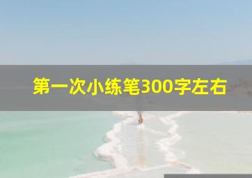 第一次小练笔300字左右