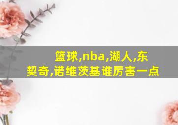 篮球,nba,湖人,东契奇,诺维茨基谁厉害一点