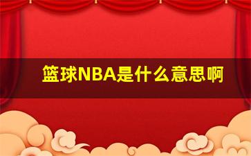 篮球NBA是什么意思啊