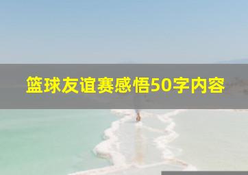 篮球友谊赛感悟50字内容