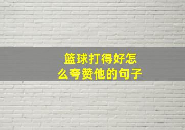 篮球打得好怎么夸赞他的句子