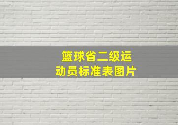 篮球省二级运动员标准表图片