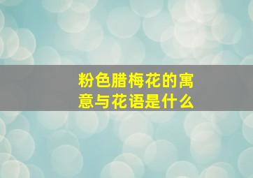 粉色腊梅花的寓意与花语是什么