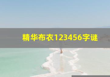 精华布衣123456字谜