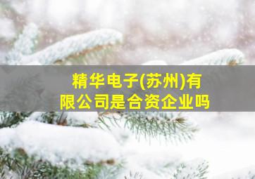 精华电子(苏州)有限公司是合资企业吗