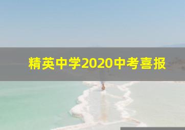 精英中学2020中考喜报