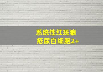 系统性红斑狼疮尿白细胞2+