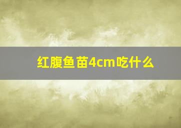 红腹鱼苗4cm吃什么