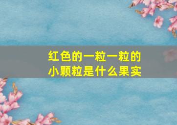 红色的一粒一粒的小颗粒是什么果实